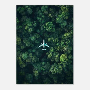 Poster vue aérienne d’un avion blanc survolant une forêt dense aux cimes vert foncé